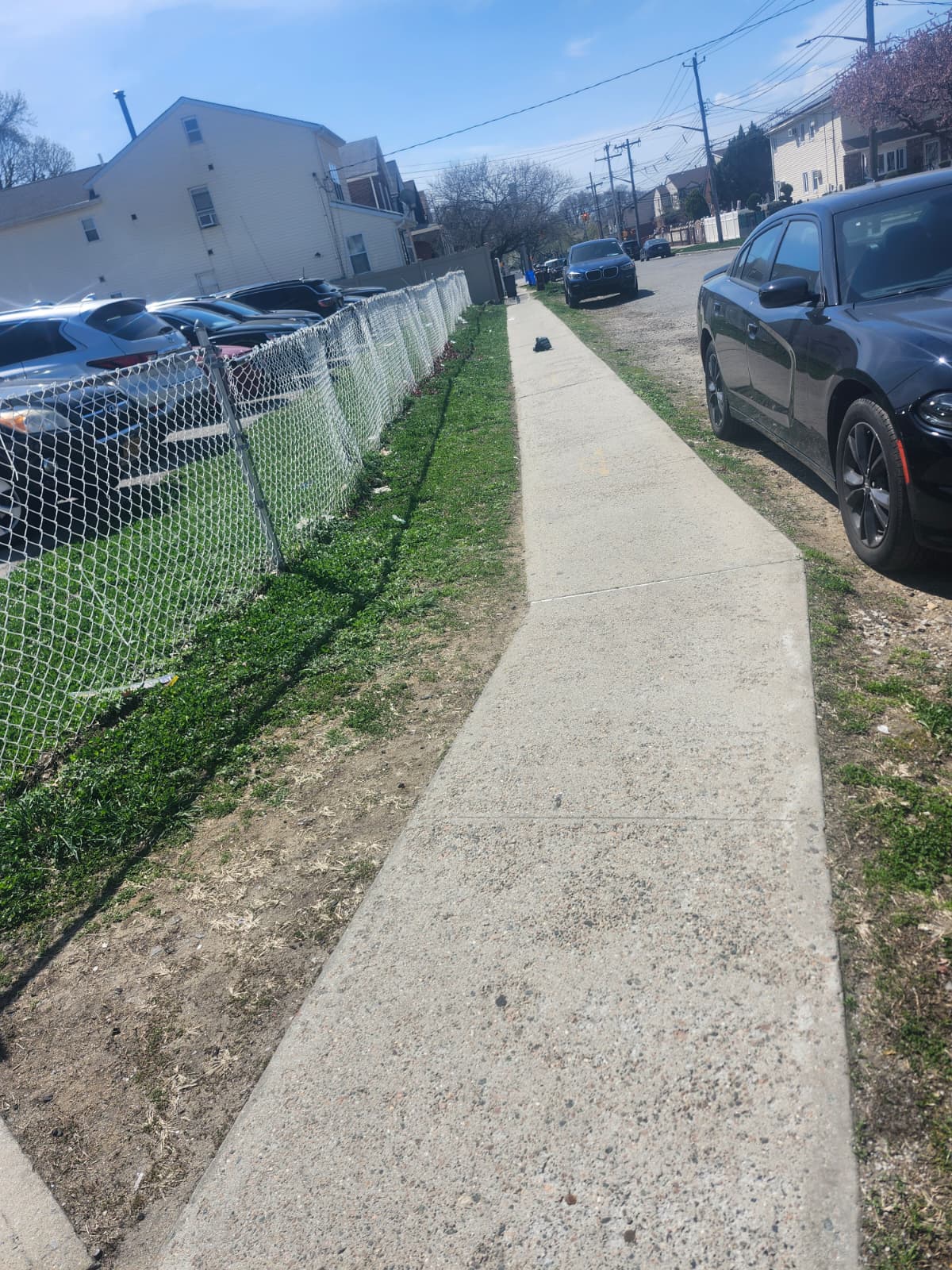 Green Zone 8