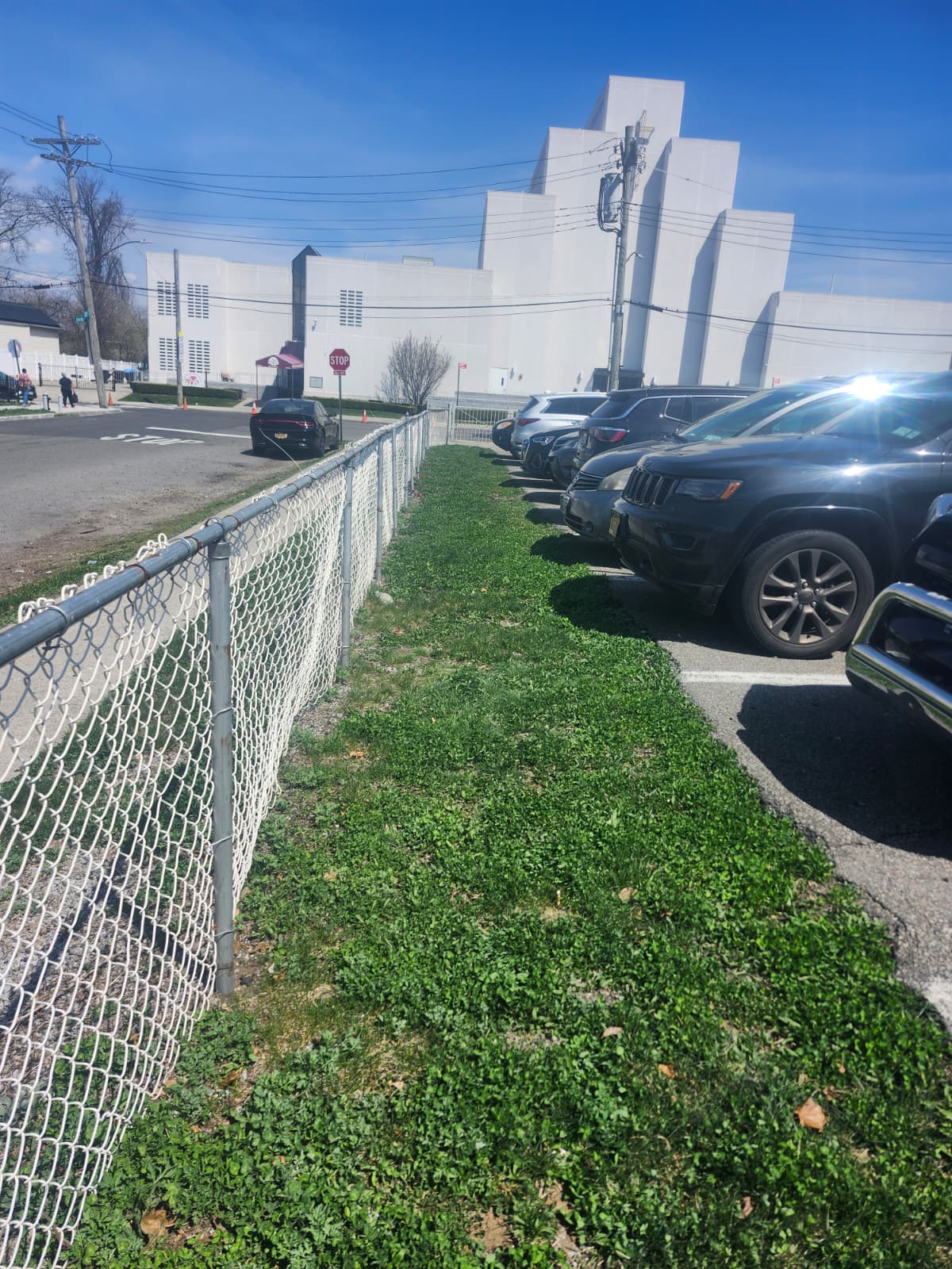 Green Zone 9